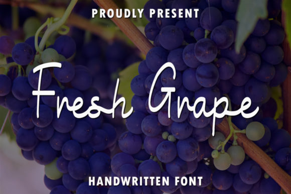 Fresh Grape Font Review