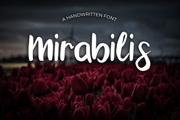 Mirabilis Font for Creative Projects