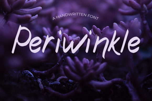 Periwinkle Font for Creative Web Projects