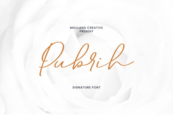 Pubrih Font: Elegant Script for Web Design
