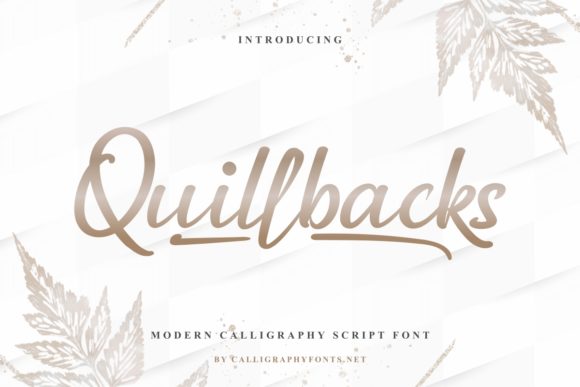 Quillbacks Font for Web Design