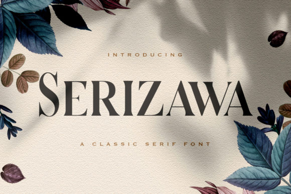 Serizawa: A Serif Font for Impactful Campaigns